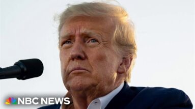 Voters in Illinois and Massachusetts seek to remove Trump off 2024 ballot
