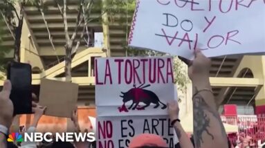 Growing pushback in Mexico after ban against bullfighting is lifted
