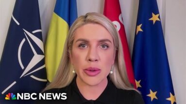 U.S. aid to Ukraine being stalled by domestic politics is ‘disturbing,’ says Ukrainian MP