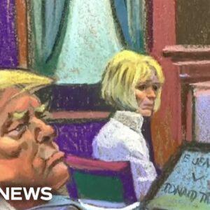 Lawyer for E. Jean Carroll tells jury Trump ruined writer's reputation