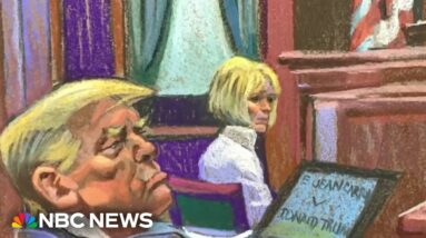 Lawyer for E. Jean Carroll tells jury Trump ruined writer's reputation
