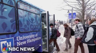 Young Democratic primary voters voice reason for Biden campaign concern
