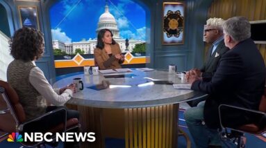 Panel: Iowa Caucus decides if DeSantis is 'in for the long haul'