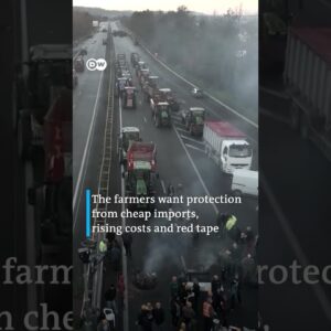 French farmers continue their protests against the government | DW Shorts