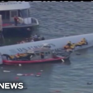 Survivor from 'Miracle on the Hudson' recounts her experience