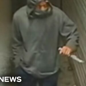 Suspect arrested in series of New York stabbings