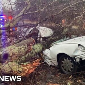 Monster storm system sparks deadly tornado outbreak in Gulf Coast and Southeast