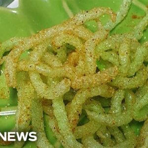 Ministry issues warning over South Korea's new culinary craze – fried toothpicks