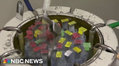 After court ruling, University of Alabama suspends IVF treatments