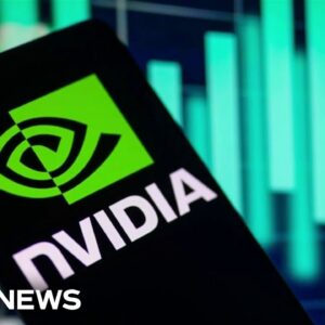 AI chip maker Nvidia's huge rise sparks market frenzy