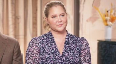 Amy Schumer HITS BACK at Critics Who Commented on Her Puffy Face