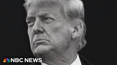 Appeals court rules Trump not immune in election interference case