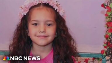 Six-year-old Palestinian girl trapped in car with dead relatives now missing