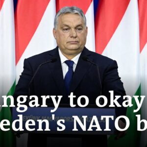Hungarian prime minister says parliament set to ratify Sweden's NATO bid later this month | DW News