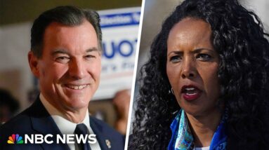 New York congressional district votes for George Santos' replacement in Congress