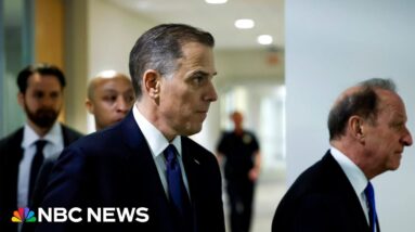 Democratic Congressman: We 'welcome' a public hearing with Hunter Biden