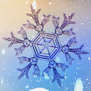 Did you know no two snowflakes are alike? | Nightly News: Kids Edition