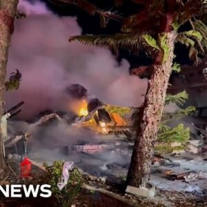 Several deaths reported after small plane crashes into Florida mobile home park