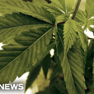 Teens seeking help for substance abuse turn to drugs and alcohol to de-stress