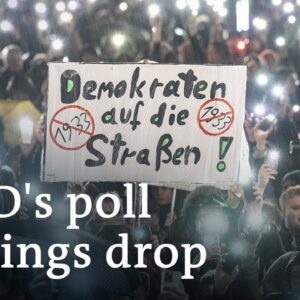 Far-right AfD party in Germany sees drop in polling | DW News