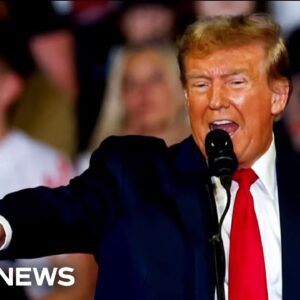 Full special report: Supreme Court agrees to take Trump immunity case