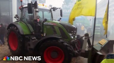 Video shows farmers driving tractors into Brussels as part of a protest