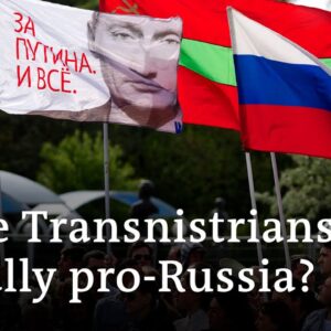 What do the Transnistrians think of the pro-Russian separatists' appeal to Moscow? | DW News