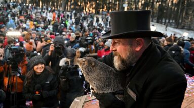 LIVE: Punxsutawney Phil makes 2024 Groundhog Day prediction | NBC News