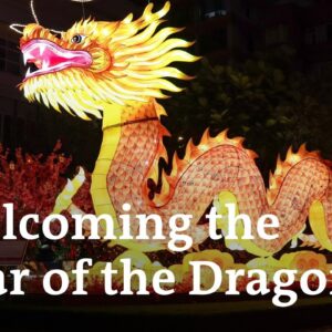 Lunar New Year celebrations have begun | DW News
