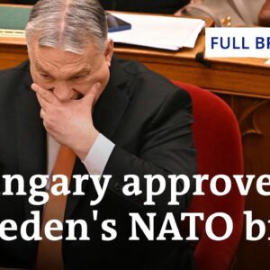 DW News from February 24: Hungary approves Sweden's bid to join NATO | Full Broadcast