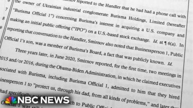 FBI informant Smirnov arrested again over charges on false Hunter Biden reports