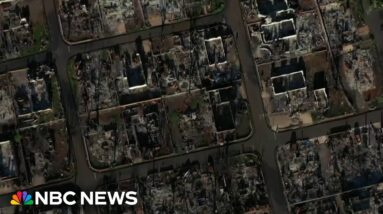 Many who died in Maui wildfires were from one neighborhood