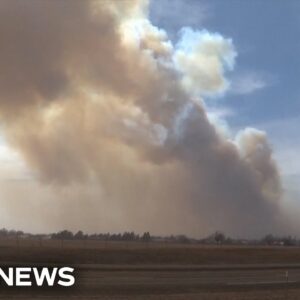 Massive wildfire burns through Texas Panhandle