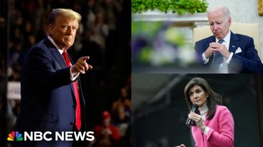Polls: Trump leads both Haley and Biden in key states