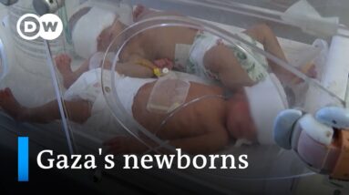 Doctor at maternity hospital in Rafah: "In one shift, two or three children die" | DW News