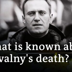 Russia: Arrests made at vigils for Kremlin critic Navalny | DW News