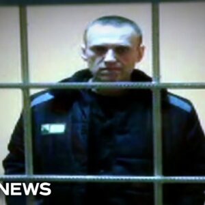 Russian opposition leader Alexei Navalny dies in prison