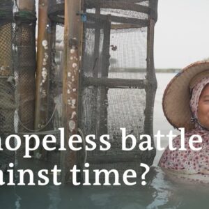 Indonesias sinking villages: a hopeless battle against rising sea levels | DW News