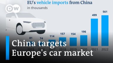 Ship carrying thousands of Chinese EVs lands in Germany | DW Business