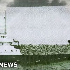 Shipwreck hunters discover remains of WWII ship that sank in 1940