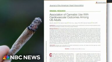 Study links cannabis use to heart problems