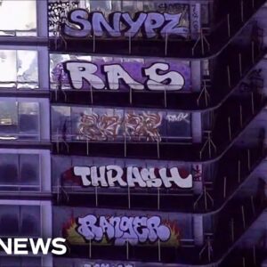 Taggers vandalize around 30 floors of a new Los Angeles high-rise