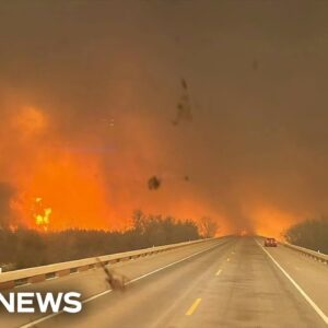 Texas wildfire grows into second largest in state history