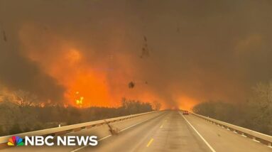 Texas wildfire grows into second largest in state history