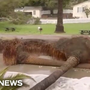 This Morning’s Top Headlines – Feb. 20