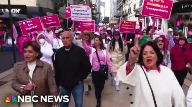 Thousands rally in Mexico to 'protect democracy' ahead of election