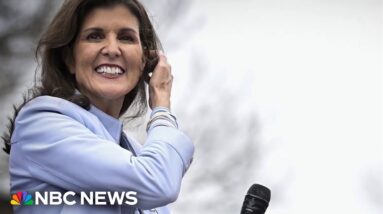 Republican voters on why they're backing Haley over Trump in 2024 election