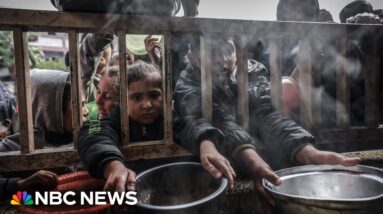 Former Israeli PM disputes Biden’s claim that Israel can do more to get aid into Gaza