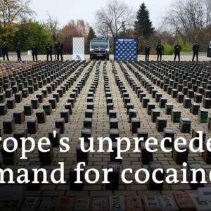 Germany urges international cooperation to disrupt drug supply chains | DW News