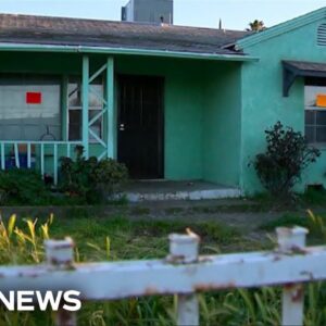 Animal services rescue 86 dogs from hoarder’s California home